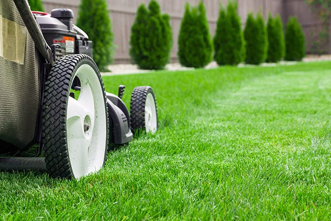 landscaping and lawn care carlisle county ky