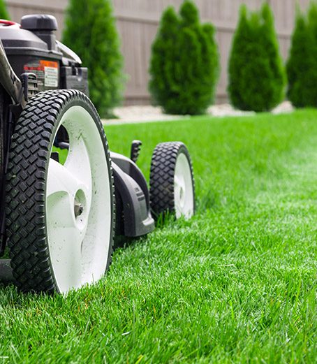 grounds maintenance calloway county kentucky